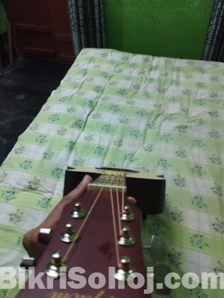 ক্যাভার্ট ব্যান্ড এর গিটার